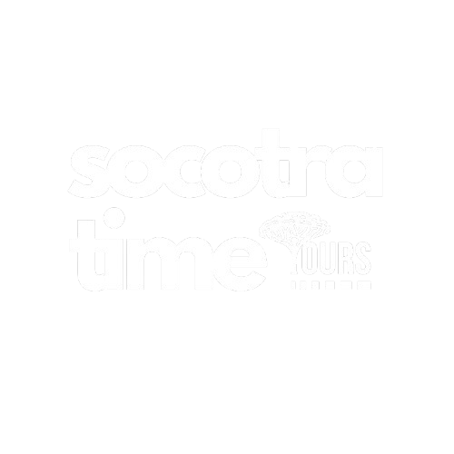 Socotra Time Tours
